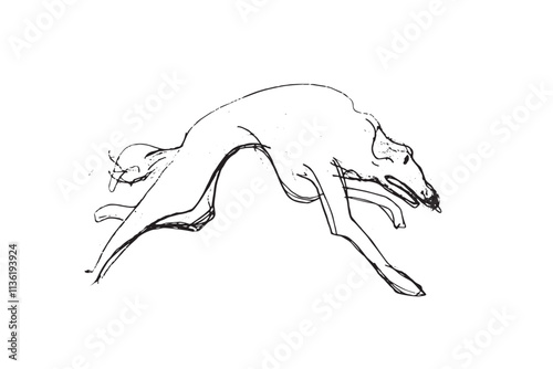 Russian Hunting Sighthound hand-drawing sketch. Minimalist ink drawing of dog Borzoi. Gazehounds line art. Hound dog illustration. Black graphics for Dog breeding business.