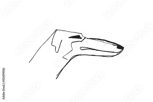 Russian Hunting Sighthound hand-drawing sketch. Minimalist ink drawing of dog Borzoi. Gazehounds line art. Hound dog illustration. Black graphics for Dog breeding business.