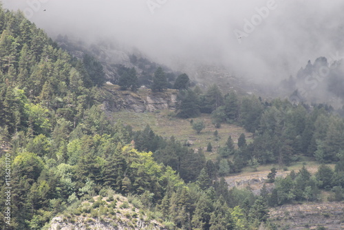 Paisajes Estacion de Canfranc - 2024 - 071
