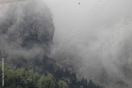Paisajes Estacion de Canfranc - 2024 - 063 photo