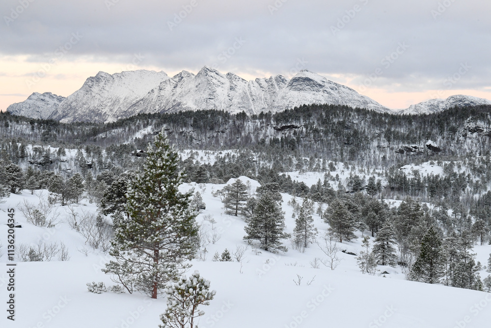 Snow landscape in the mountains of arctic Norway in winter Snow landscape in the mountains of arctic Norway in winter