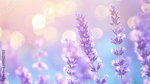 Lavendelzweige in Pastelltönen