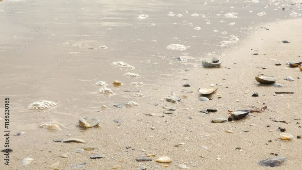 Waves on the beachside Waves on the beachside