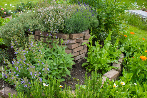 Tableau sur toile herb spiral in the garden with fresh herbs
