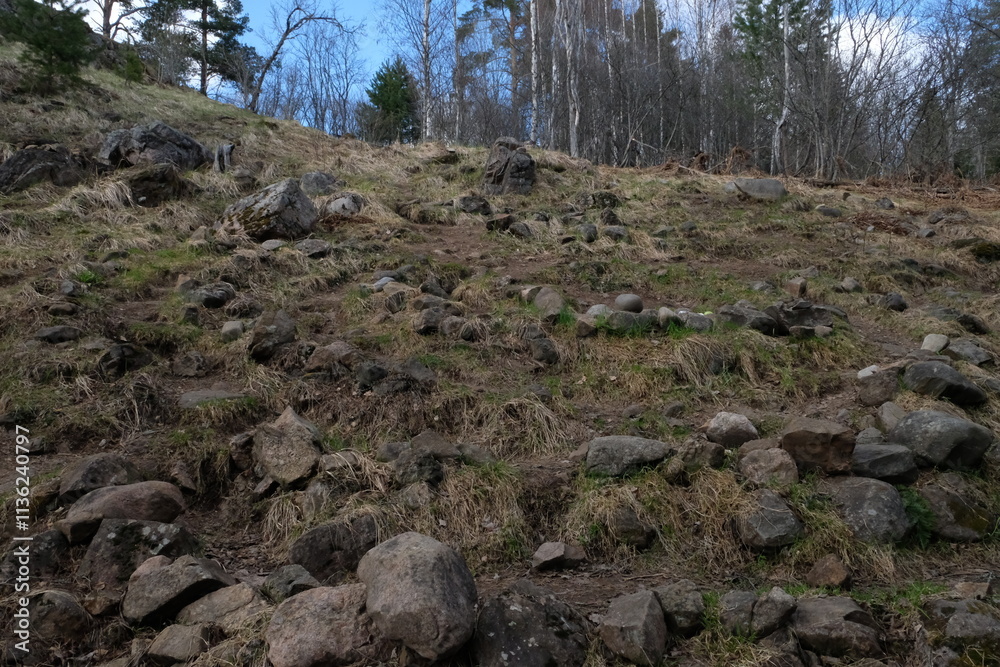 Spring nature of the Republic of Karelia. The ancient stone Labyrinth Spring nature of the Republic of Karelia. The ancient stone Labyrinth