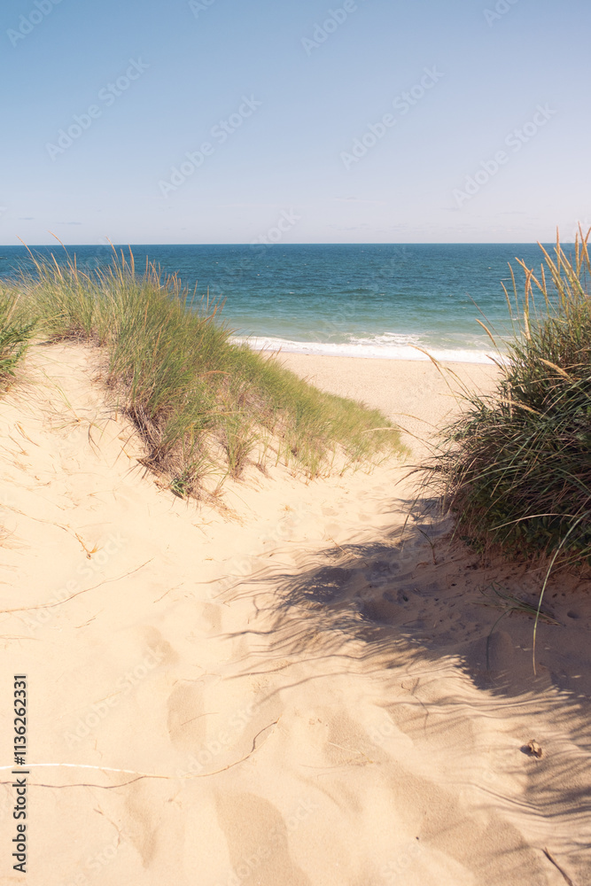 A sandy path through the dunes and grass leading to the beach on the Cape Cod National Seashore on a blue sky summer day. Waves are visible in the blue ocean and green grasses are growing on a hot day A sandy path through the dunes and grass leading to the beach on the Cape Cod National Seashore on a blue sky summer day. Waves are visible in the blue ocean and green grasses are growing on a hot day