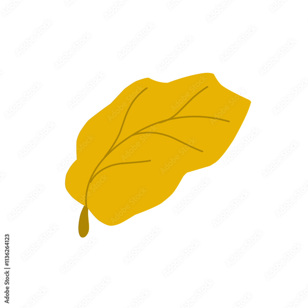 Autumn leaf illustration. Autumn leaf illustration leaves falling in autumn time Autumn leaf illustration. Autumn leaf illustration leaves falling in autumn time
