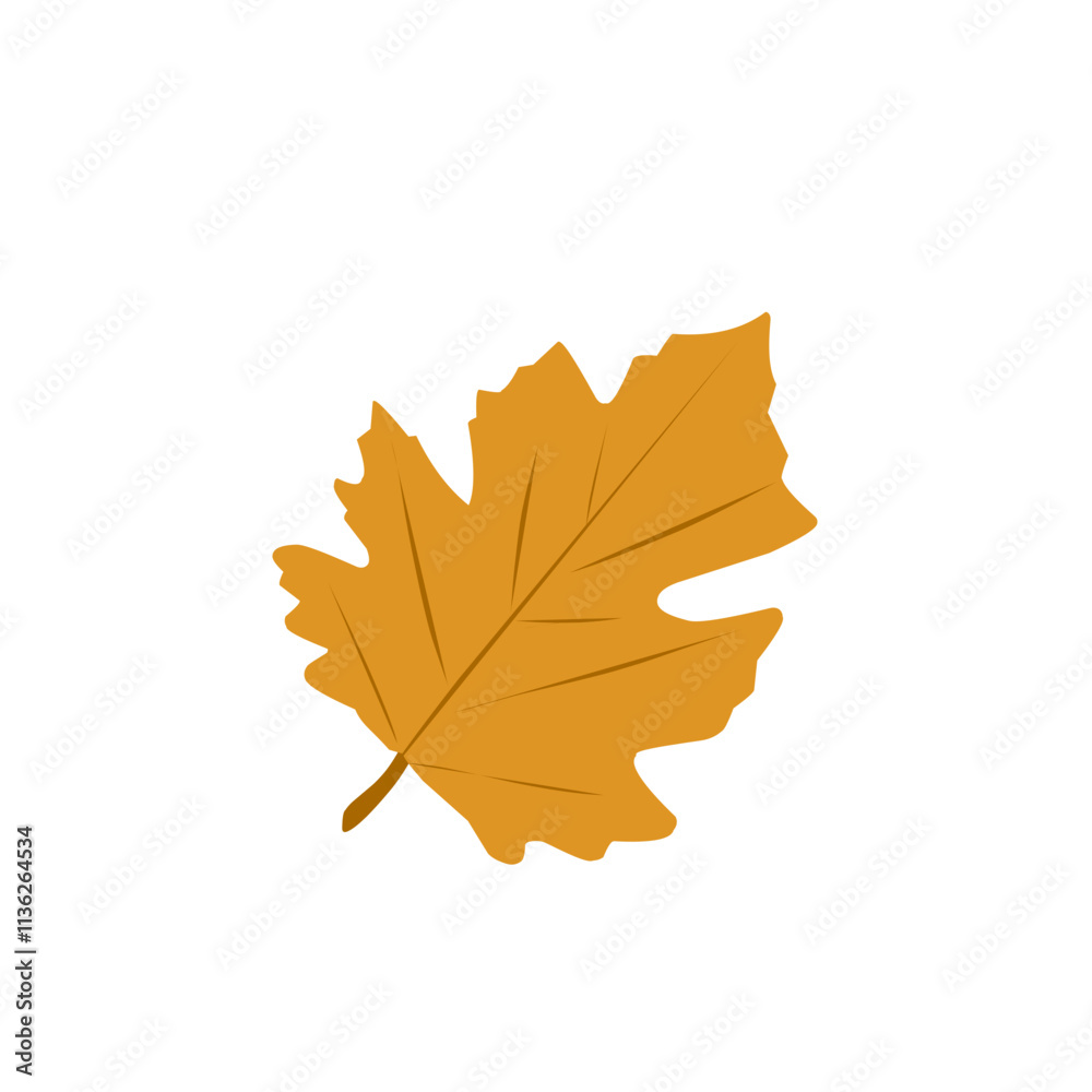 Autumn leaf illustration. Autumn leaf illustration leaves falling in autumn time Autumn leaf illustration. Autumn leaf illustration leaves falling in autumn time