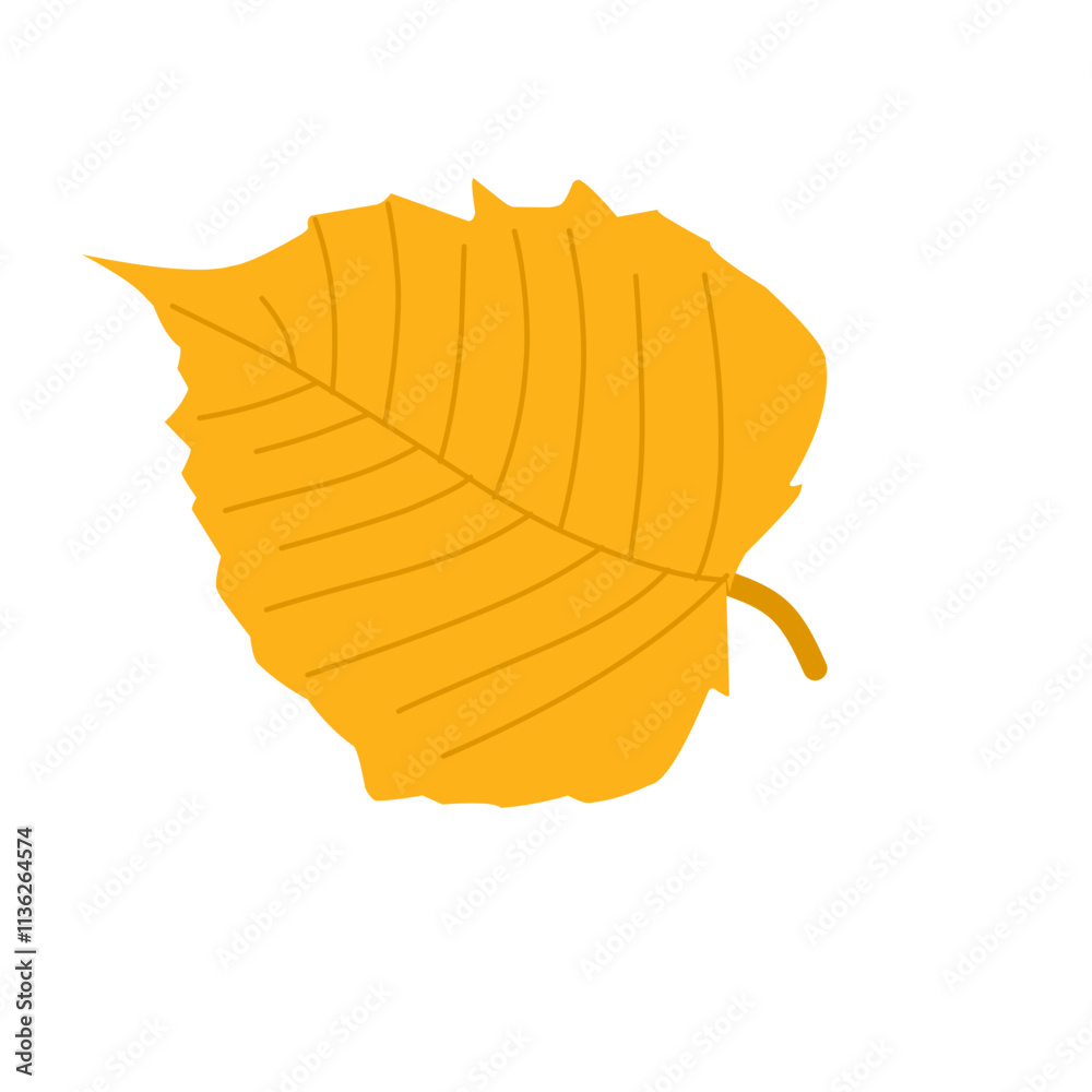 Autumn leaf illustration. Autumn leaf illustration leaves falling in autumn time 