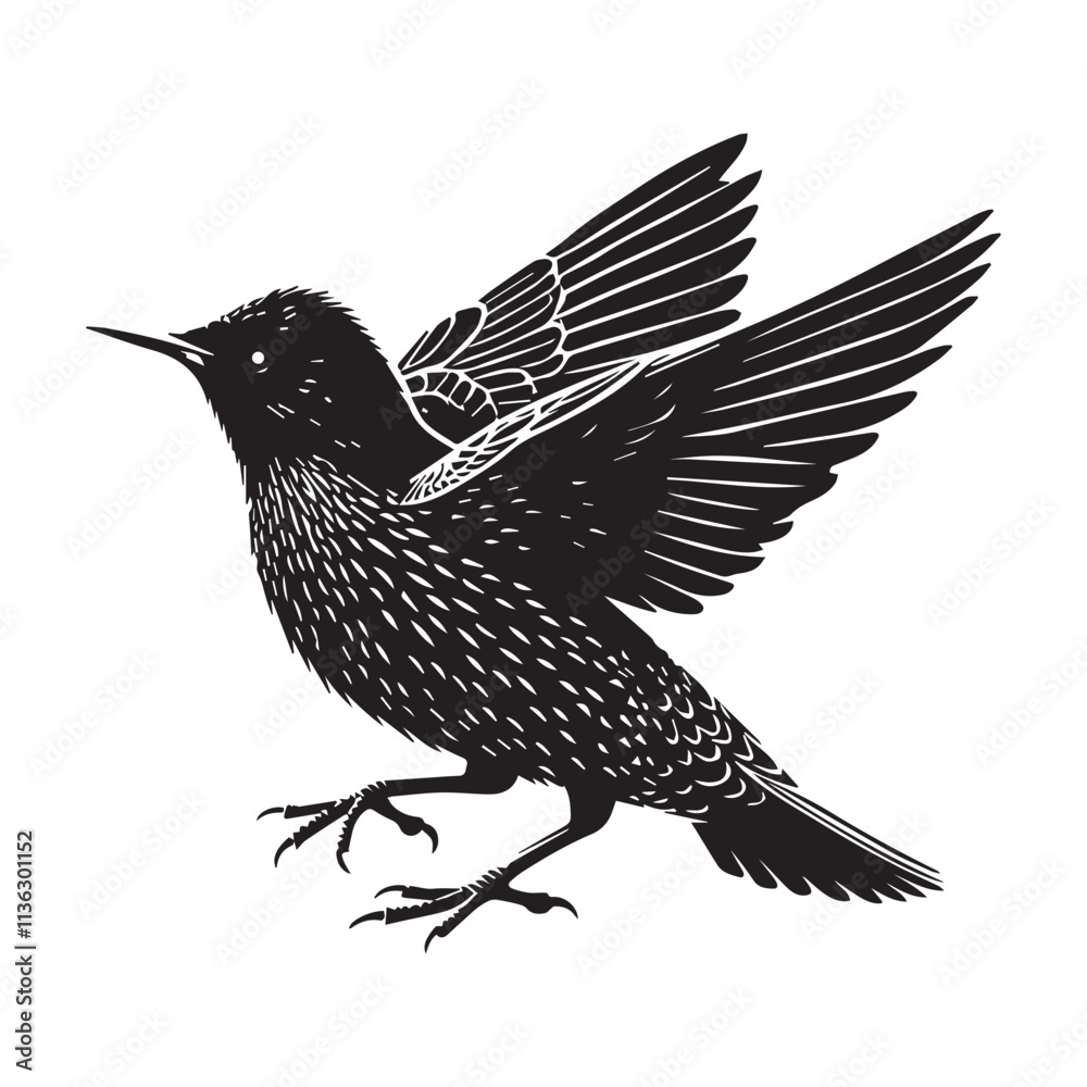 Obraz premium European Starling silhouette vector style white background.