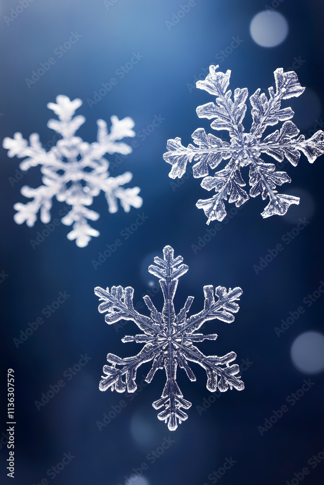 Three snowflakes falling on dark blue background with bokeh effect Three snowflakes falling on dark blue background with bokeh effect