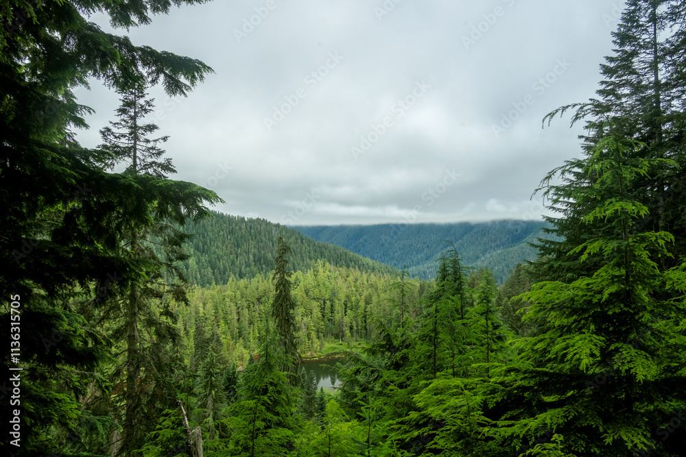 Thick Layer Of Clouds Covers The Hoh Rainforest and Elk Lake Thick Layer Of Clouds Covers The Hoh Rainforest and Elk Lake