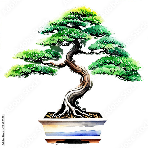 Bonsai tree in pot