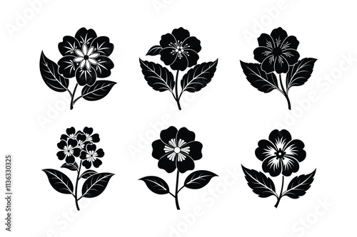 Japanese primrose flower silhouette vector illustration.