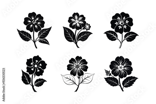 Japanese primrose flower silhouette vector illustration.