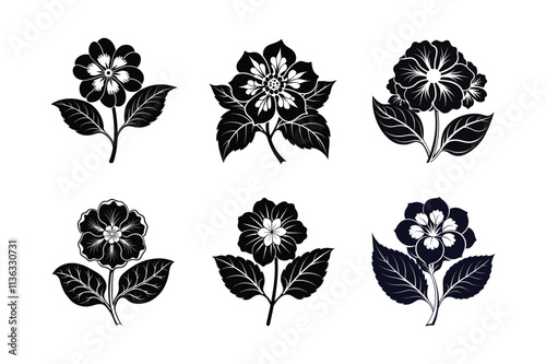 Japanese primrose flower silhouette vector illustration.