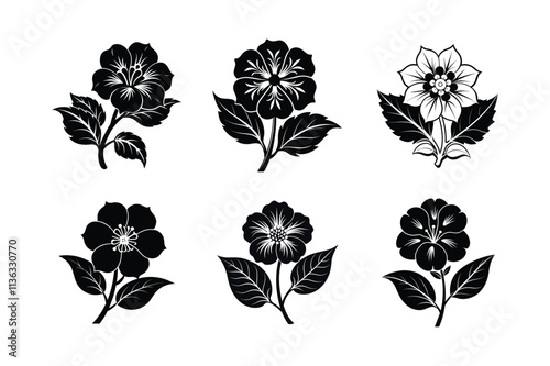 Japanese primrose flower silhouette vector illustration.