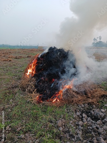 burning fire in the forest