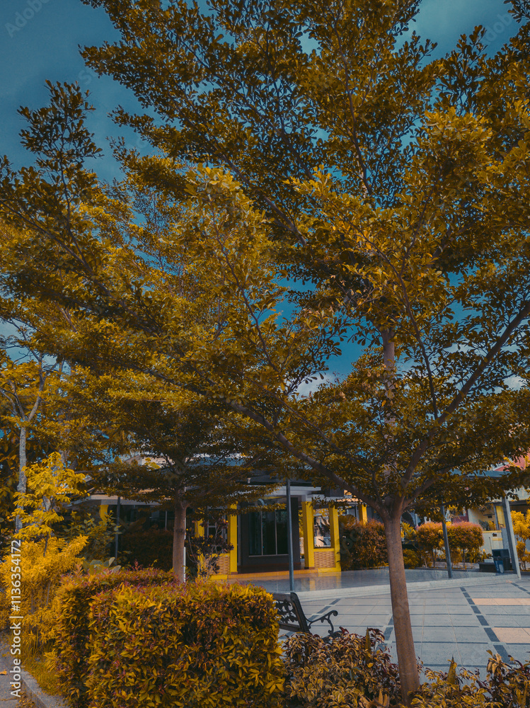 Portrait of a mosque with a large field