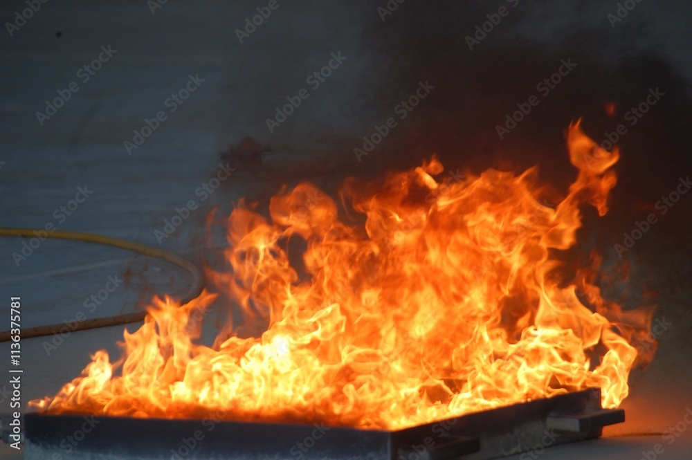 Fototapeta premium fire in the fireplace