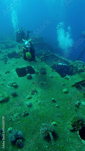 Wallpaper Mural Vertical video, Group of scuba divers swims along board and corridors on wreck of Salem Express ferry, Slow motion of divers swimming in blue depths examines at sunken ship Torontodigital.ca