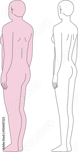 太った女性とスリムな女性.　ダイエットのビフォーアフターの背面の全身斜め後ろのイラスト