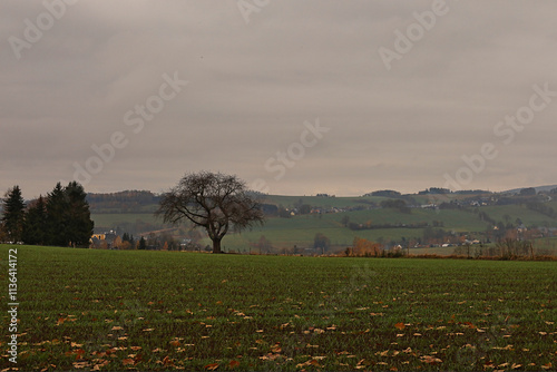 Rund um Wolkenstein, Wandern, Wandergebiet, Landschaft in Wolkenstein im Erzgebirge, Erzgebirgskreis, Sachsen, Deutschland	 photo