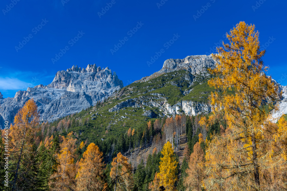 Autumn mountains. Alps in autumn colors. Dolomites beautiful yellow tree leaves autumn landscape. Alpine scenery of golden autumn