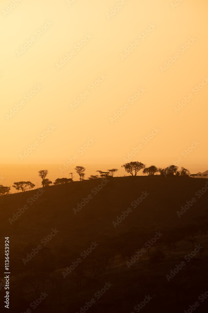 Sunset in Tanzania adventure to see the wilderness Sunset in Tanzania adventure to see the wilderness