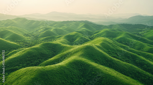 Aerial view of lush green mountains with rolling hills and soft contours, evoking tranquility and natural beauty photo