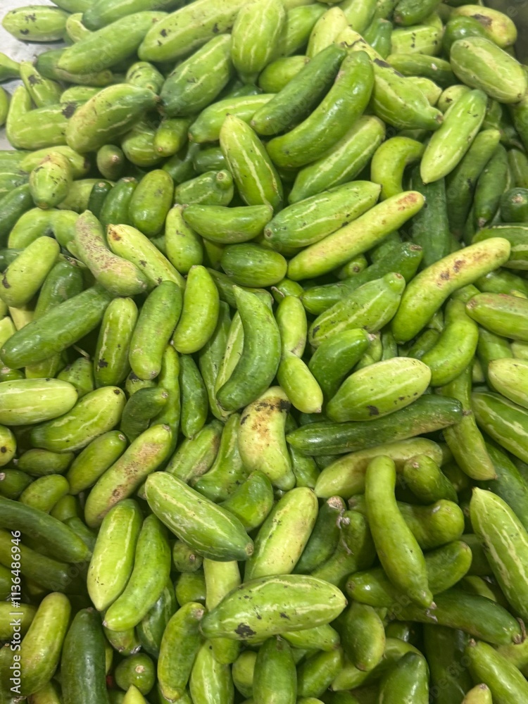 large pile of small, green cucumbers, likely freshly harvested or prepared for pickling due to their uniform size and color. large pile of small, green cucumbers, likely freshly harvested or prepared for pickling due to their uniform size and color.