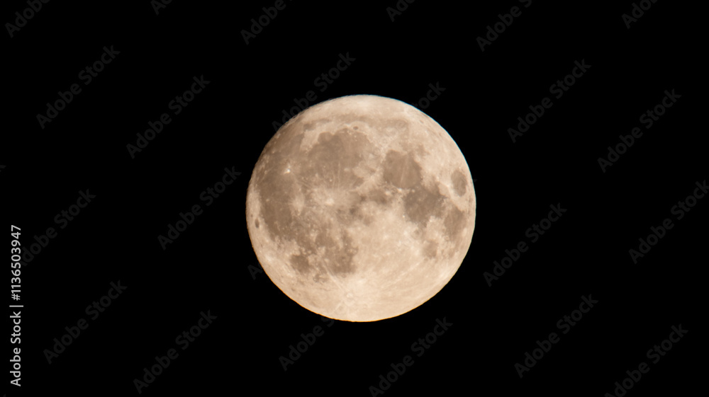 Fototapeta premium Moon