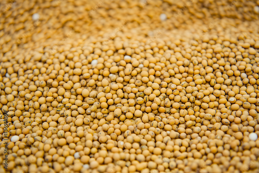 A close view of a large pile of yellow legumes displays their smooth texture and vibrant color under natural lighting. Generative AI A close view of a large pile of yellow legumes displays their smooth texture and vibrant color under natural lighting. Generative AI