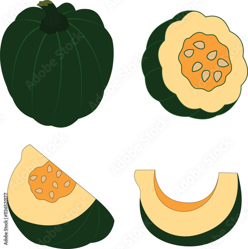Fresh acorn squash icon, Design style isolated on white background. Cector simple illustration of acorn squash, perfect for logos and icons.