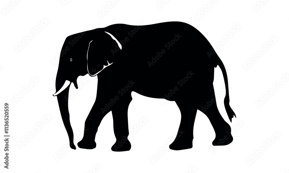 Elephant Silhouette vector illustration set isolated on white background-Elephant Silhouette Silhouette, Files for Cutting Cricut and Silhouette, Isolated on white background, Calligraphy t shirt desi Elephant Silhouette vector illustration set isolated on white background-Elephant Silhouette Silhouette, Files for Cutting Cricut and Silhouette, Isolated on white background, Calligraphy t shirt desi