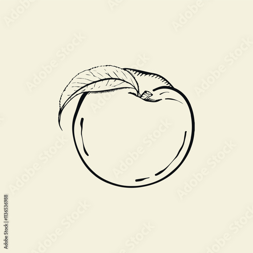 Peach with leaf on isolated background. Hand drawn sketch style. Vintage.
