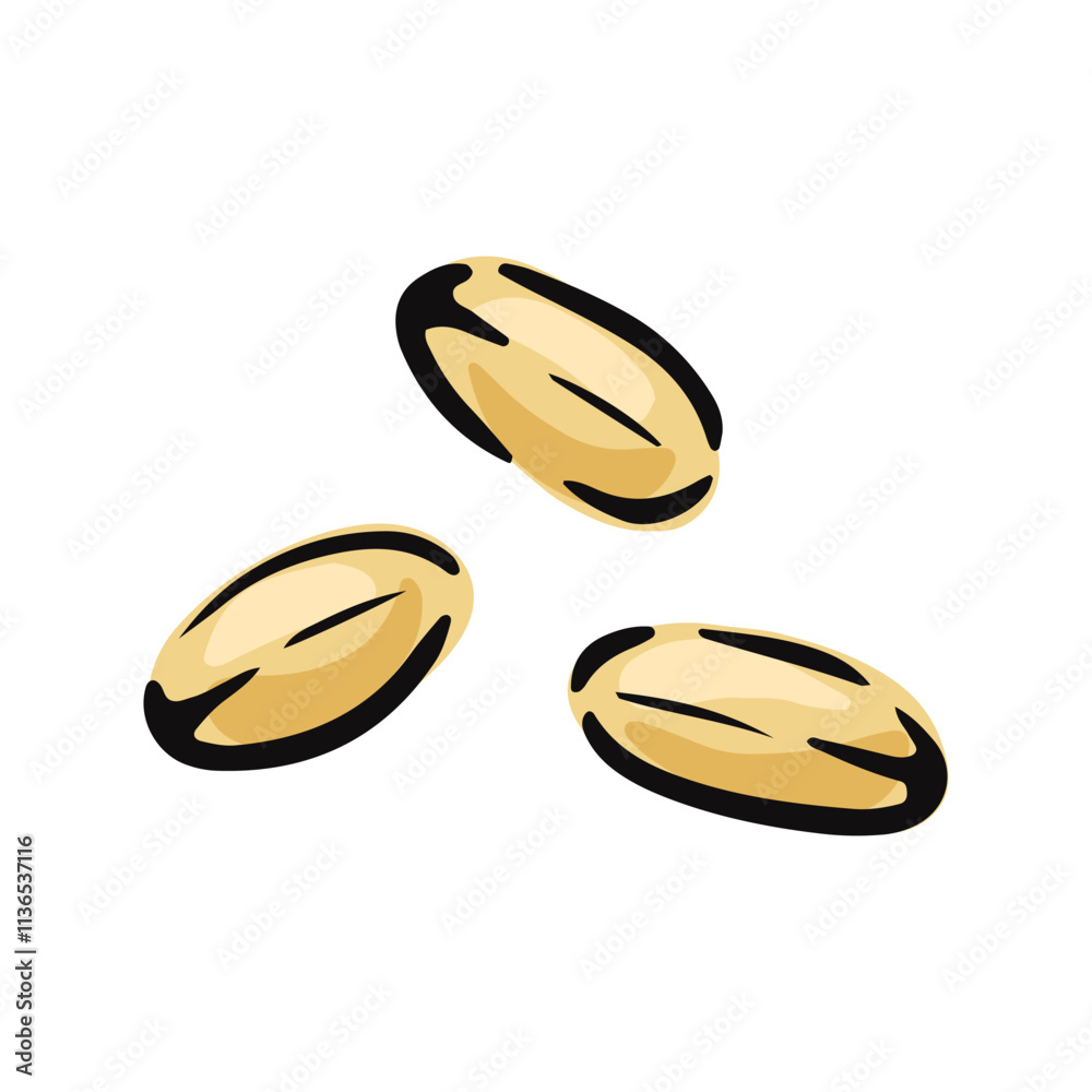 Hand drawn wheat grains depicted in detail showcasing their texture and shape in a natural style Hand drawn wheat grains depicted in detail showcasing their texture and shape in a natural style