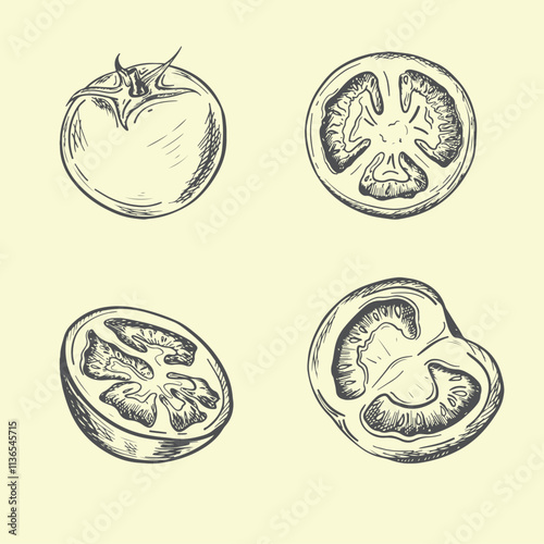Set of tomatoes in color vintage style. Hand drawn and isolated on monochrome background. Perfect for retro designs. Vector illustration.