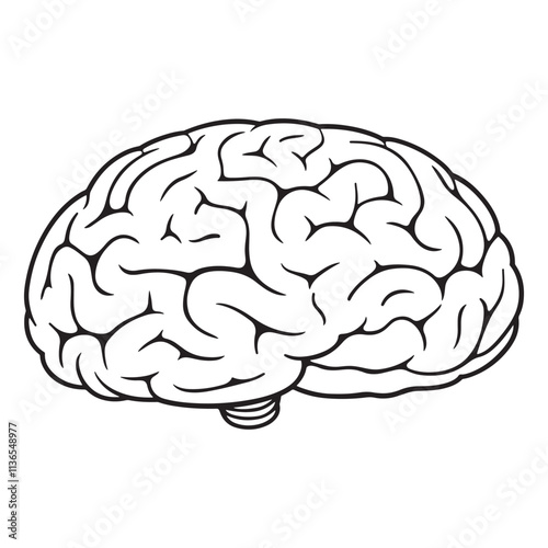 Brain coloring page vector illustration line art design