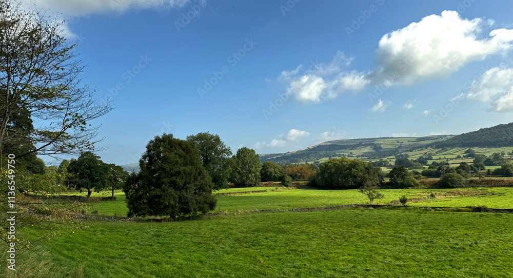 Lush green fields stretch across the Aire Valley under a bright blue sky with scattered clouds. Trees dot the scenery, and hills rise in the distance, in this peaceful rural view near, Keighley, UK Lush green fields stretch across the Aire Valley under a bright blue sky with scattered clouds. Trees dot the scenery, and hills rise in the distance, in this peaceful rural view near, Keighley, UK