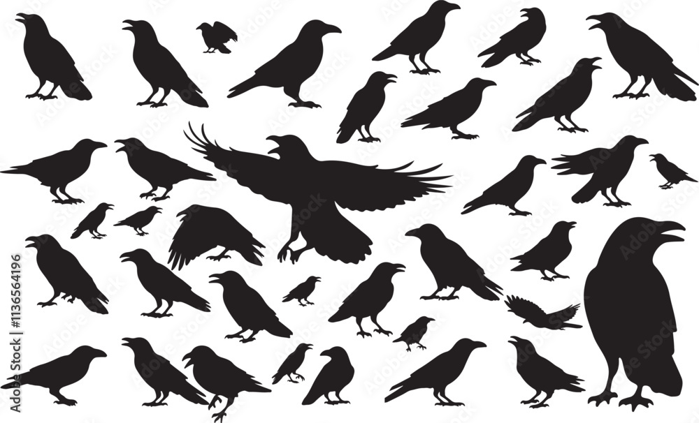 Vector Crow Silhouettes Collection Vector Crow Silhouettes Collection