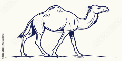 Vector Camel Line Art, isolated white background