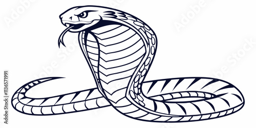 Vector Cobra Snake Line Art, isolated white background