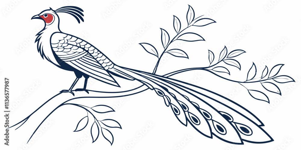 Fototapeta premium Vector Paradise Bird Line Art, isolated white background