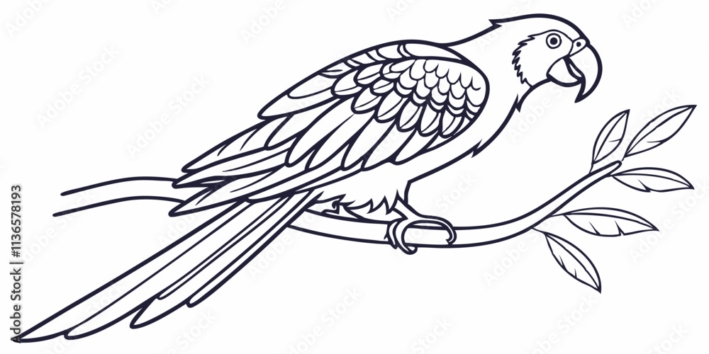 Vector Parrot Bird Line Art, isolated white background Vector Parrot Bird Line Art, isolated white background