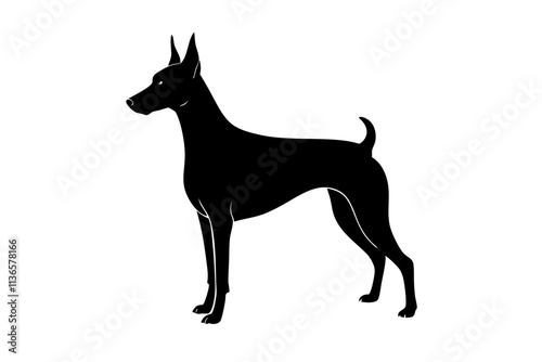 Doberman Pinscher Silhouette Vector Illustration of a Sleek and Alert Dog