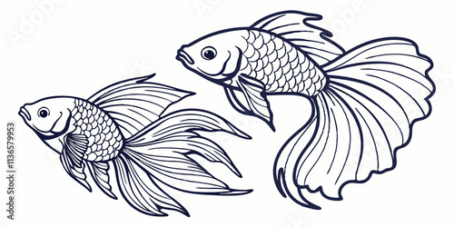 Vector Siamese fish Line Art, isolated white background