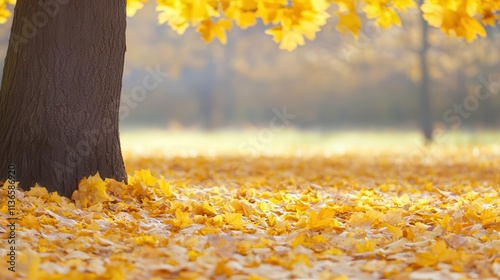 Vibrant autumn park with golden leaves carpeting the ground, soft light breaking through the trees, serene and warm. photo