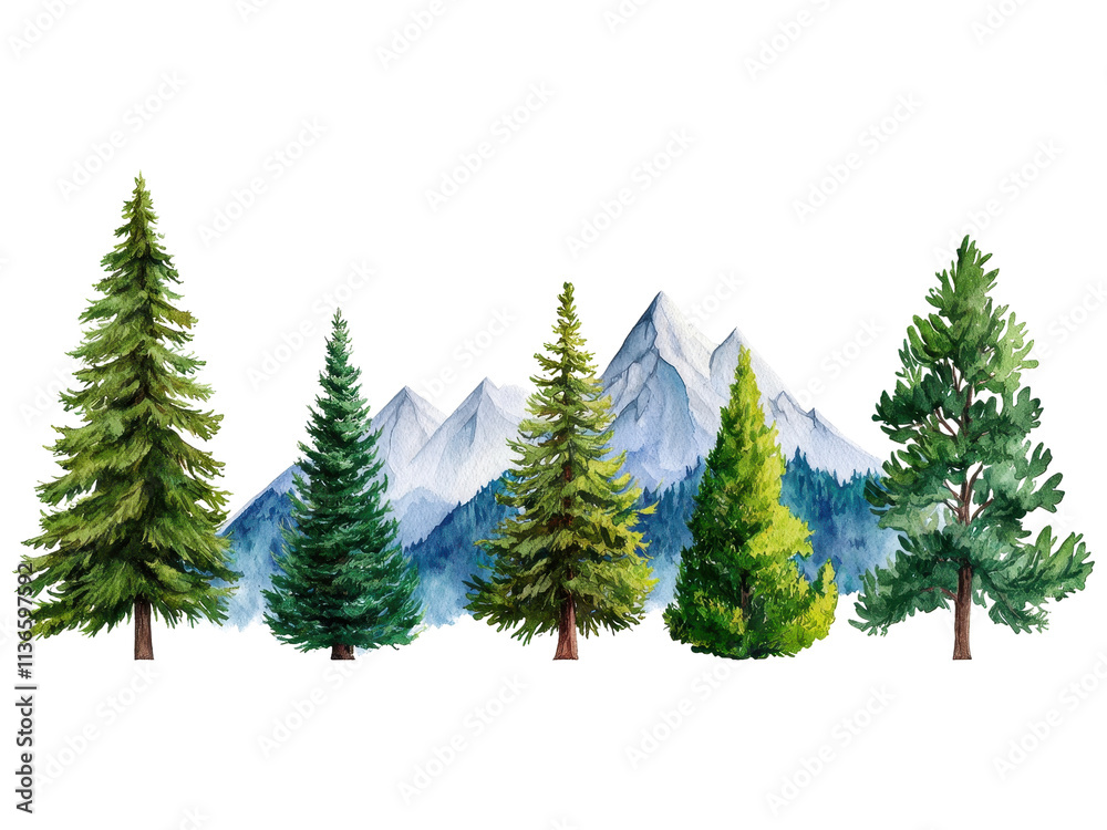 Obraz premium A Lush Mountain Landscape Featuring Diverse Evergreen Trees and Majestic Peaks in Background