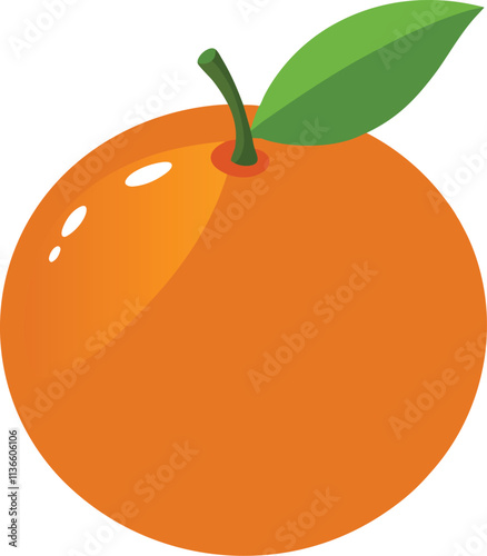 orange fruit vector illustration